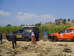 Kerangka di Boalemo Ternyata Wanita Diduga Korban Pembunuhan