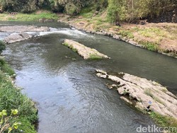 Air Sungai Brantas Malang Berubah Ungu, Warga Khawatir Limbah Beracun