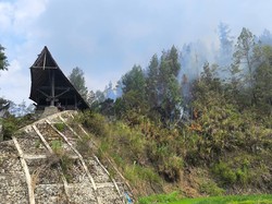 Karhutla di Mamasa Nyaris Hanguskan Situs Makam Tedong-Tedong