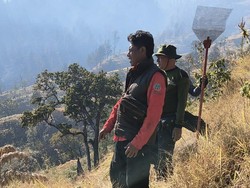 Karhutla Rinjani Capai 1.098 Hektare, Pendaki Dialihkan ke Sembalun