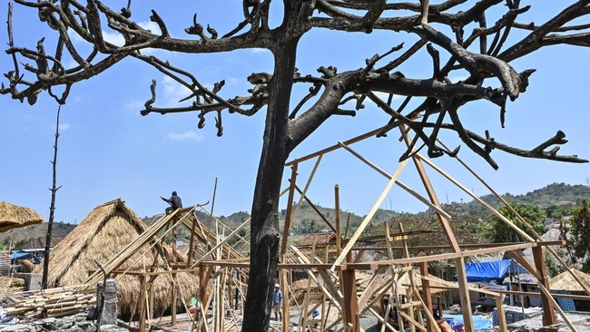 Warga memasang rangka atap dari bambu untuk bangunan rumah adat pascakebaran di Kampung adat Sade, Desa Rembitan, Kecamatan Pujut, Praya, Lombok Tengah, NTB, Sabtu (26/9/2026). Warga terdampak kebakaran di Kampung adat Sade mulai membangun kembali ru