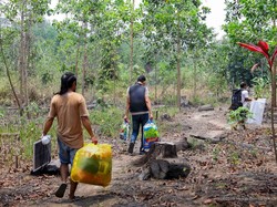 Penghuni Liar Tinggalkan Tahura Bukit Soeharto IKN Usai Diedukasi