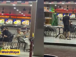 Viral! Pelanggan Bawa Anjing ke Kedai Makan, Berujung Tuai kecaman