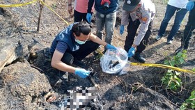 Warga Desa Tenggerejo, Kecamatan Kedungpring, Kabupaten Lamongan, dikejutkan dengan penemuan sesosok kerangka manusia di lahan bekas kebakaran di hutan. Kasihumas Polres Lamongan Ipda M Hamzaid mengatakan, kerangka misterius itu ditemukan secara tak