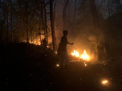 Karhutla Terjadi di Situbondo, 6 Hektare Hutan Jati Dilalap Si Jago Merah