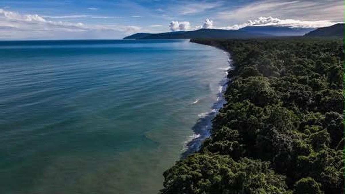 Resmi! Wilayah di Kepala Burung Papua Ini Diketok Jadi Zona Konservasi