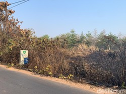 Kebakaran Lahan di Nipa-nipa Makassar, Asap Sempat Tutupi Jalan