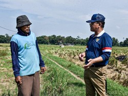 Utusan Khusus Presiden Puji Peran Petani Jaga Ketahanan Pangan RI