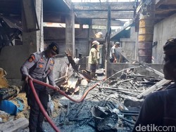 7 Babi Mati Terpanggang dalam Kebakaran Rumah Produksi Pakan di Gianyar