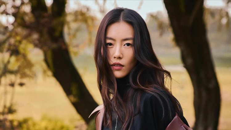 Liu Wen