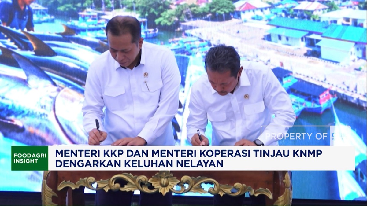 Video: Menteri KKP dan Menkop Tinjau KNMP, Dengarkan Keluhan Nelayan
