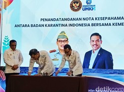 Menteri UMKM Dorong Durian Sulteng Kuasai Pasar China