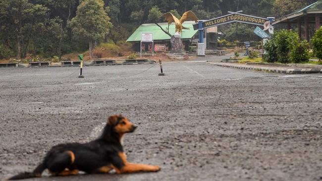 Kondisi area parkir yang lengang di Taman Wisata Alam Gunung Papandayan di Cisurupan, Kabupaten Garut, Jawa Barat, Minggu (27/9/2026). Pengelola Taman Wisata Alam Gunung Papandayan menutup sementara aktivitas pendakian Gunung Papandayan akibat adanya