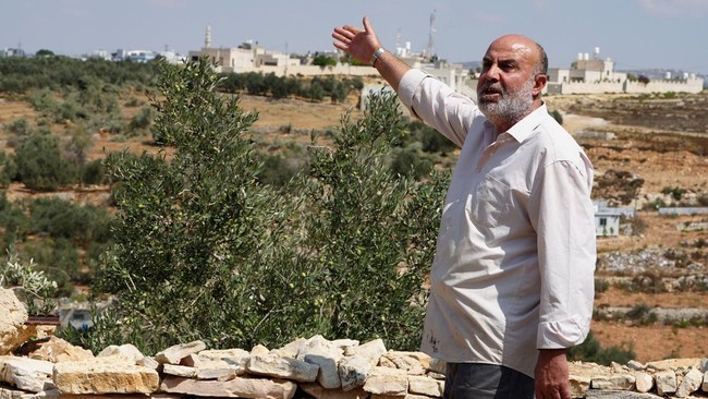A Palestinian reacts as Israeli military machinery uproots olive trees in the Palestinian village of Beit Rima near Ramallah, in the Israeli-occupied West Bank, September 24, 2026. REUTERS/Ali Sawafta