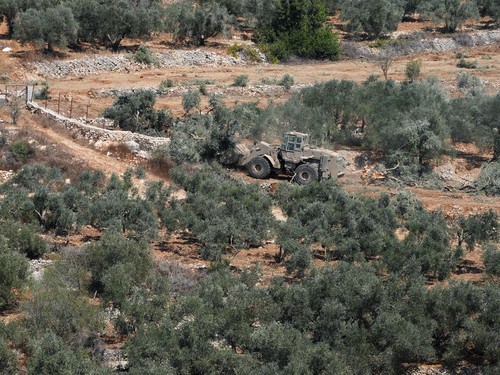 Israeli military machinery uproots olive trees in the Palestinian village of Beit Rima near Ramallah, in the Israeli-occupied West Bank, September 24, 2026. REUTERS/Ali Sawafta