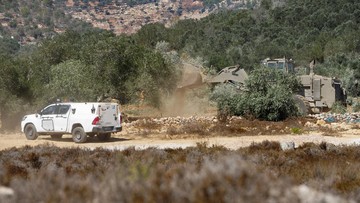Jelang Panen, Ratusan Pohon Zaitun Petani Palestina Dibuldoser Israel