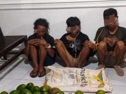 3 Pria di Lubuklinggau Diamuk Massa Usai Curi Alpukat, 1 Pelaku di Bawah Umur