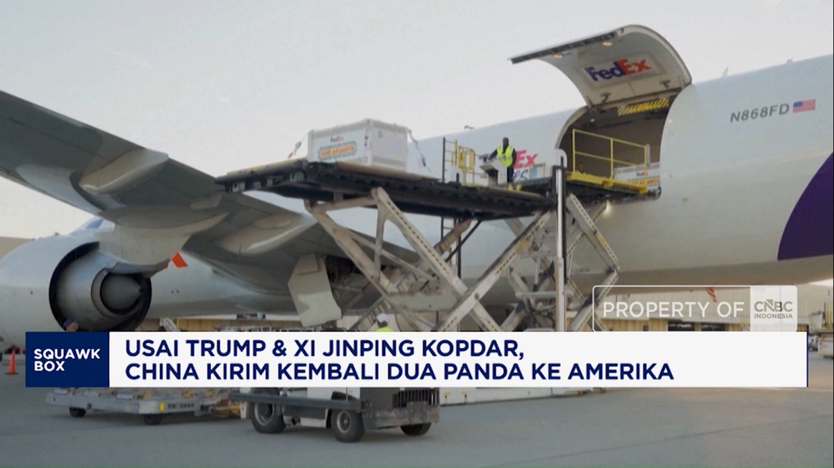 Usai Trump dan Xi Jinping Kopdar, China Kirim Kembali 2 Panda ke AS