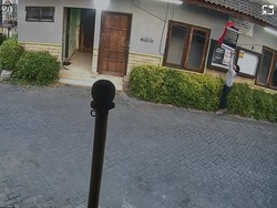 Viral Maling Burung Cucak Hijau Seharga Rp 7 Juta di Surabaya