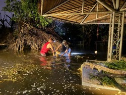 Banjir Kepung Bangkok, 6 Rusa di Taman Hiburan Tak Bisa Terselamatkan