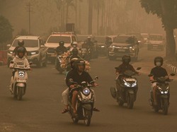 Video: Kualitas Udara di Palangka Raya Masih Masuk Kategori Berbahaya