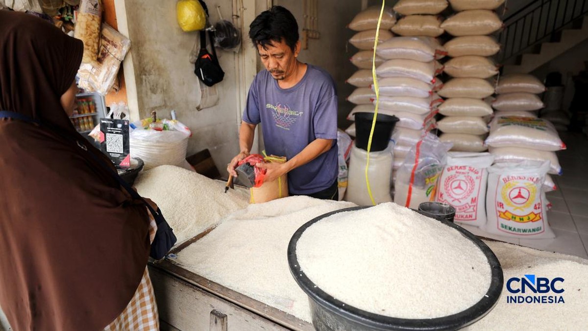Tenang! Beras Curah di Warung-Pasar Berlimpah, Ini Penampakannya