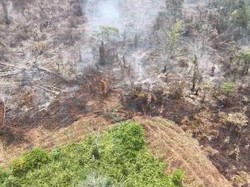 14 Hari Karhutla di HLG Londerang Jambi, Petugas Optimalkan Pemadaman
