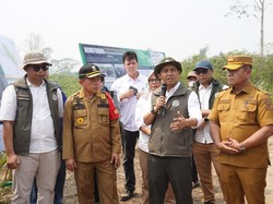 Al Haris dan Menhut Cek Konservasi Gajah hingga Hutan Desa di Jambi