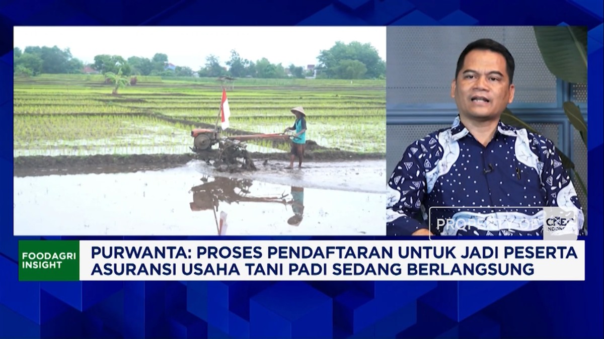 Video: Hadapi Kekeringan, Kementan Siapkan Asuransi 100 Ribu Ha Sawah