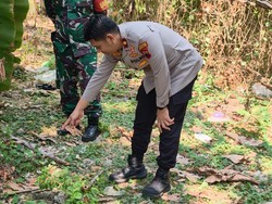 Warga Pedurungan Semarang Temukan Bayi Laki-laki Tergeletak Dikeroyok Semut