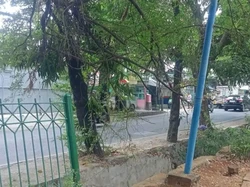 Maling Berulah di RPTRA Pedongkelan Jakbar, Lampu hingga Pagar Digasak