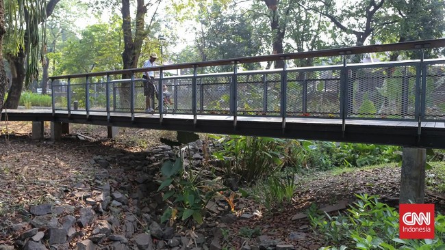 Taman Kota Merangas Dampak El Nino