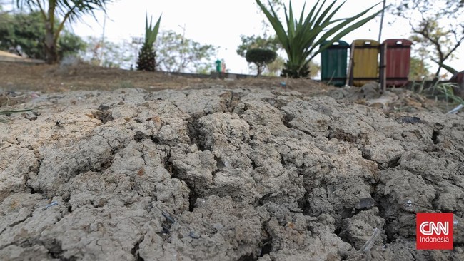 Pakar memprediksi El Nino 2026-2027 pecahkan rekor antara Oktober hingga Desember 2026.