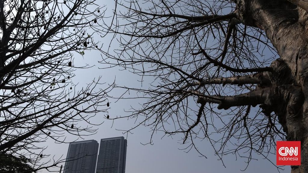 Super El Nino 2027, Ahli Ingatkan Dampaknya Buat Indonesia