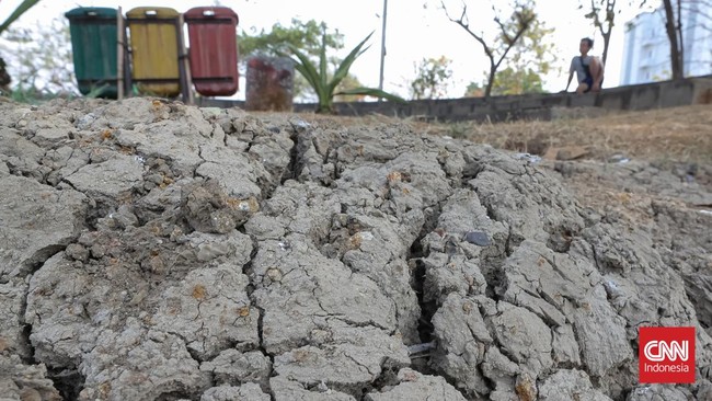 Taman Kota Merangas Dampak El Nino