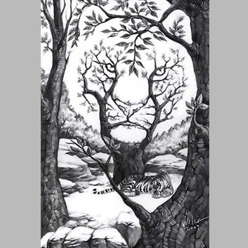 Tes Kepribadian: Harimau Besar, Harimau Kecil, atau Hutan yang Pertama Kamu Lihat? Ini Artinya...