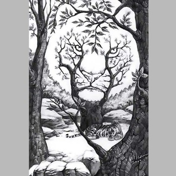 Tes Kepribadian: Harimau Besar, Harimau Kecil, atau Hutan yang Pertama Kamu Lihat? Ini Artinya...