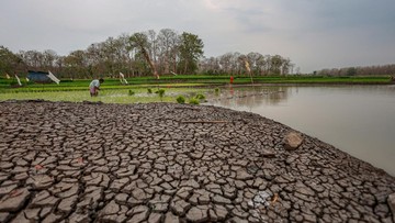 Alarm Kematian El Nino di RI, Benarkah Belasan Ribu Terancam Tewas?