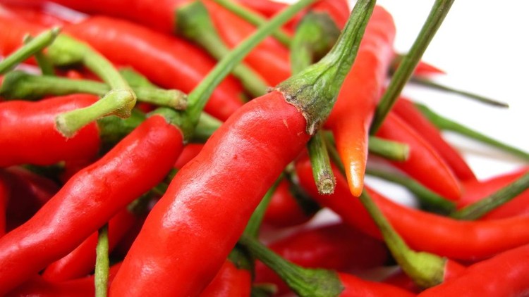 close-up of chilies
