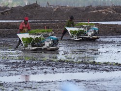 Kementerian PU Siapkan 160 Ribu Meter Kubik Air di Wanam Merauke
