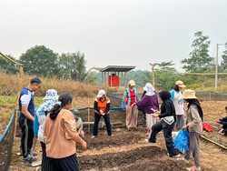Didukung TEP UI, Warga Sambas Kelola Lahan Tandus Jadi Kebun Sayur
