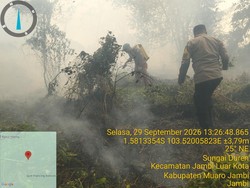 Petugas Padamkan Kebakaran 5 Hektare Lahan di Sungai Duren Muaro Jambi