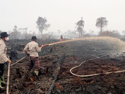 Satgas Lakukan Pendinginan Kebakaran 20 Hektare Lahan di Muaro Jambi