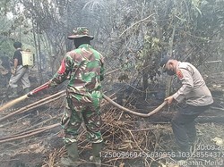 Satgas Padamkan Karhutla di Area SUTET Pematang Rahim Jambi
