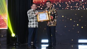 PLN