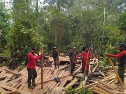 Petugas Temukan 360 Batang Kayu Olahan di TNBS Saat Padamkan Karhutla