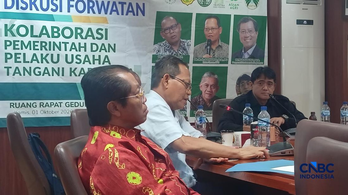 Motif Ekonomi di balik Petaka Karhutla Kalimantan, Demi Lahan Sawit?