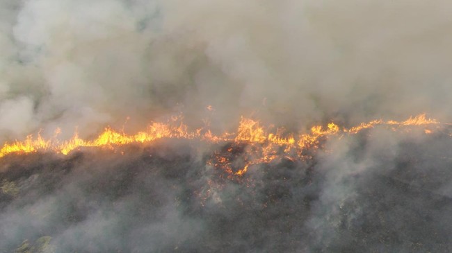 Penampakan Udara Kebakaran Lahan Kian Mengganas di Ogan Ilir
