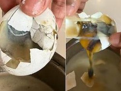 Mengecewakan! Beli Telur Via Ojol, Hampir Semua Isinya Busuk