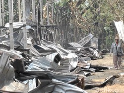 Kandang Ayam di Badung Kebakaran, 15 Ribu Bibit Terpanggang